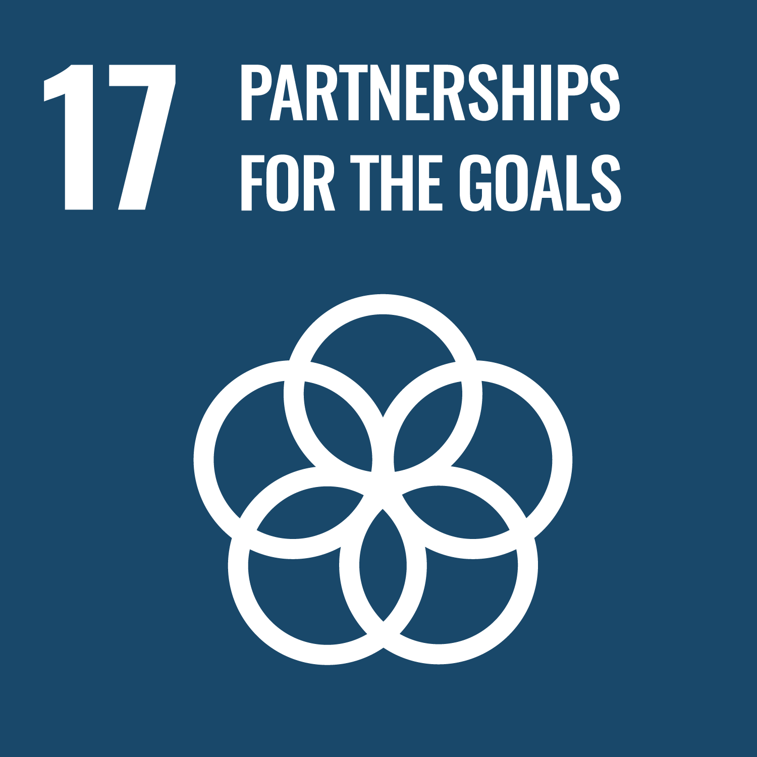 17. Partnerstva za ciljeve
