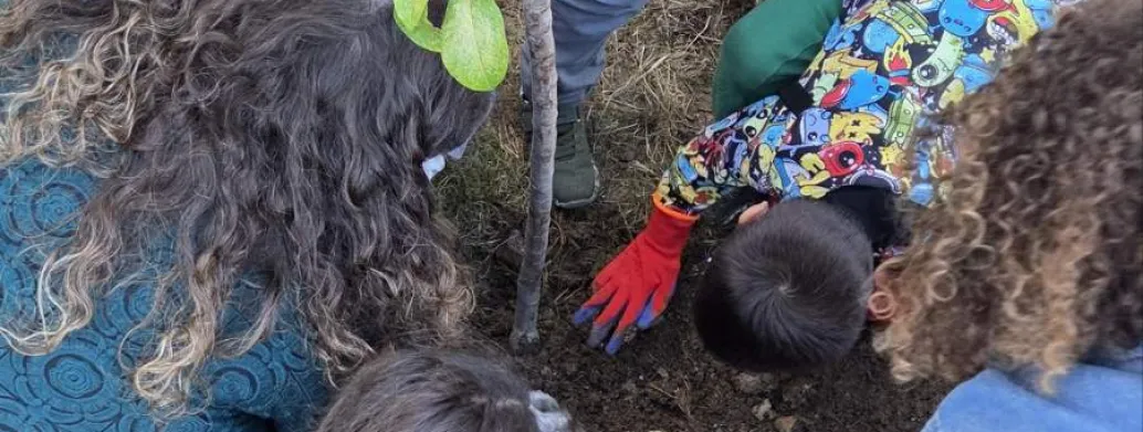 Srce Ulcinja kuca jače: Zajedništvom do pristupačnijih i zelenijih javnih prostora