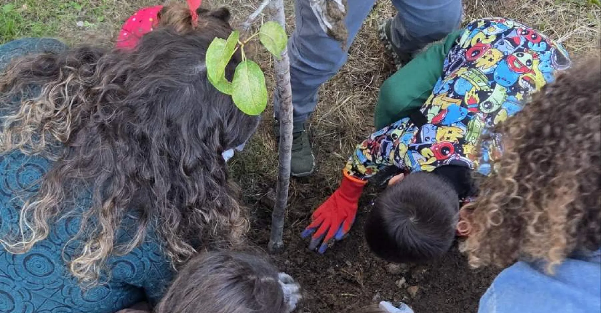 Srce Ulcinja kuca jače: Zajedništvom do pristupačnijih i zelenijih javnih prostora