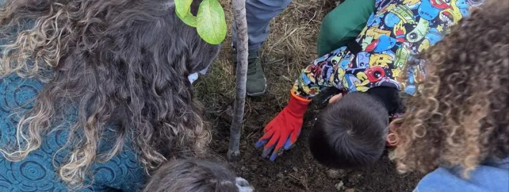 The Heart of Ulcinj Beats Stronger: Together for More Accessible and Greener Public Spaces